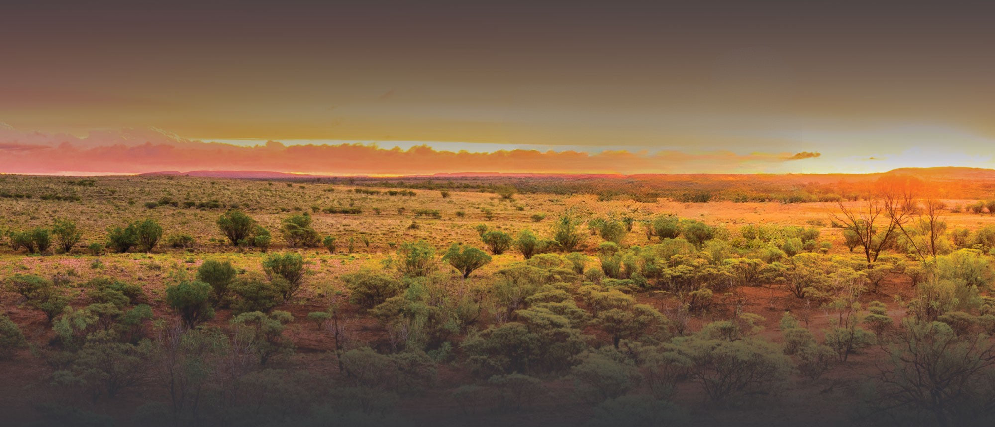 Australian outback at sunset